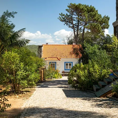 度假居 Familienparadies Nahe - Baumhaus & Tiere *