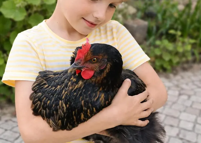 Familienparadies Nahe - Baumhaus & Tiere Nyaraló *